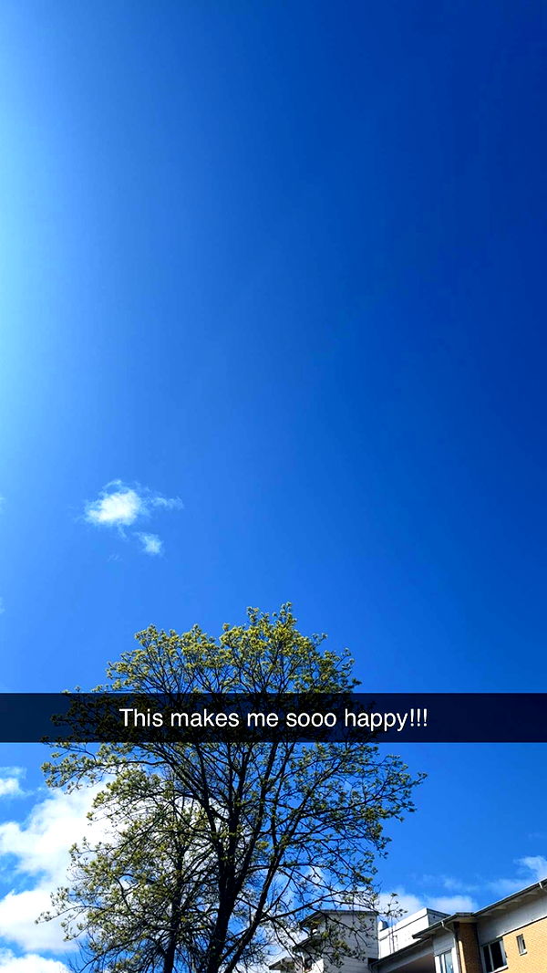 mathilda_bergs image ~ Altpins