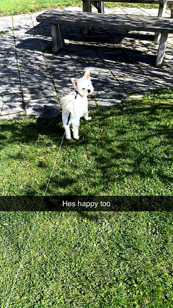 mathilda_bergs image ~ Altpins