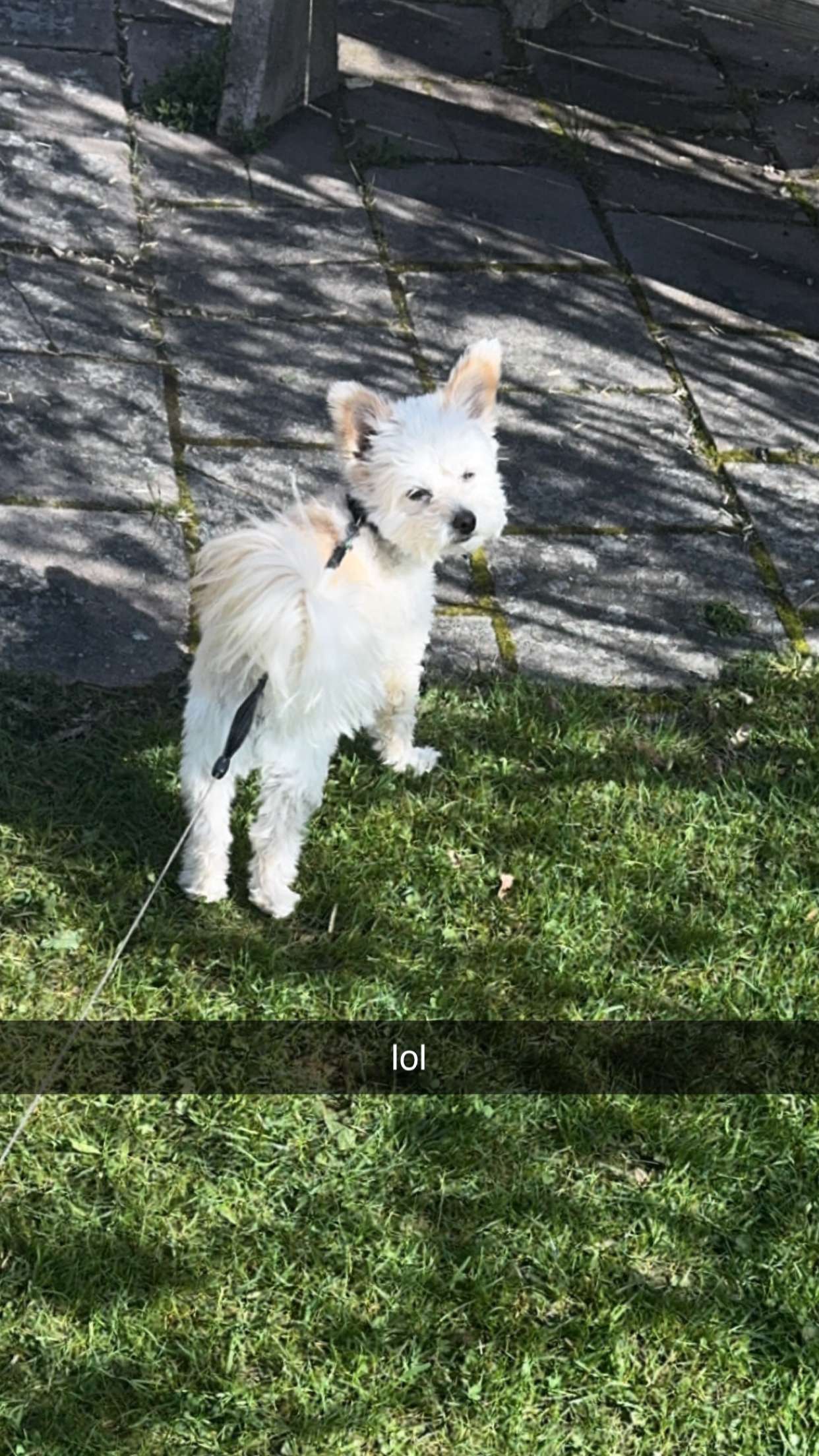 mathilda_bergs snapchat image archive image