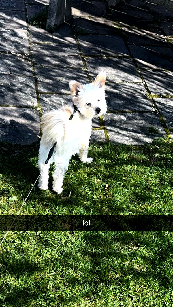 mathilda_bergs image ~ Altpins