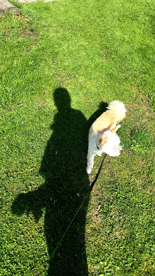 mathilda_bergs image ~ Altpins