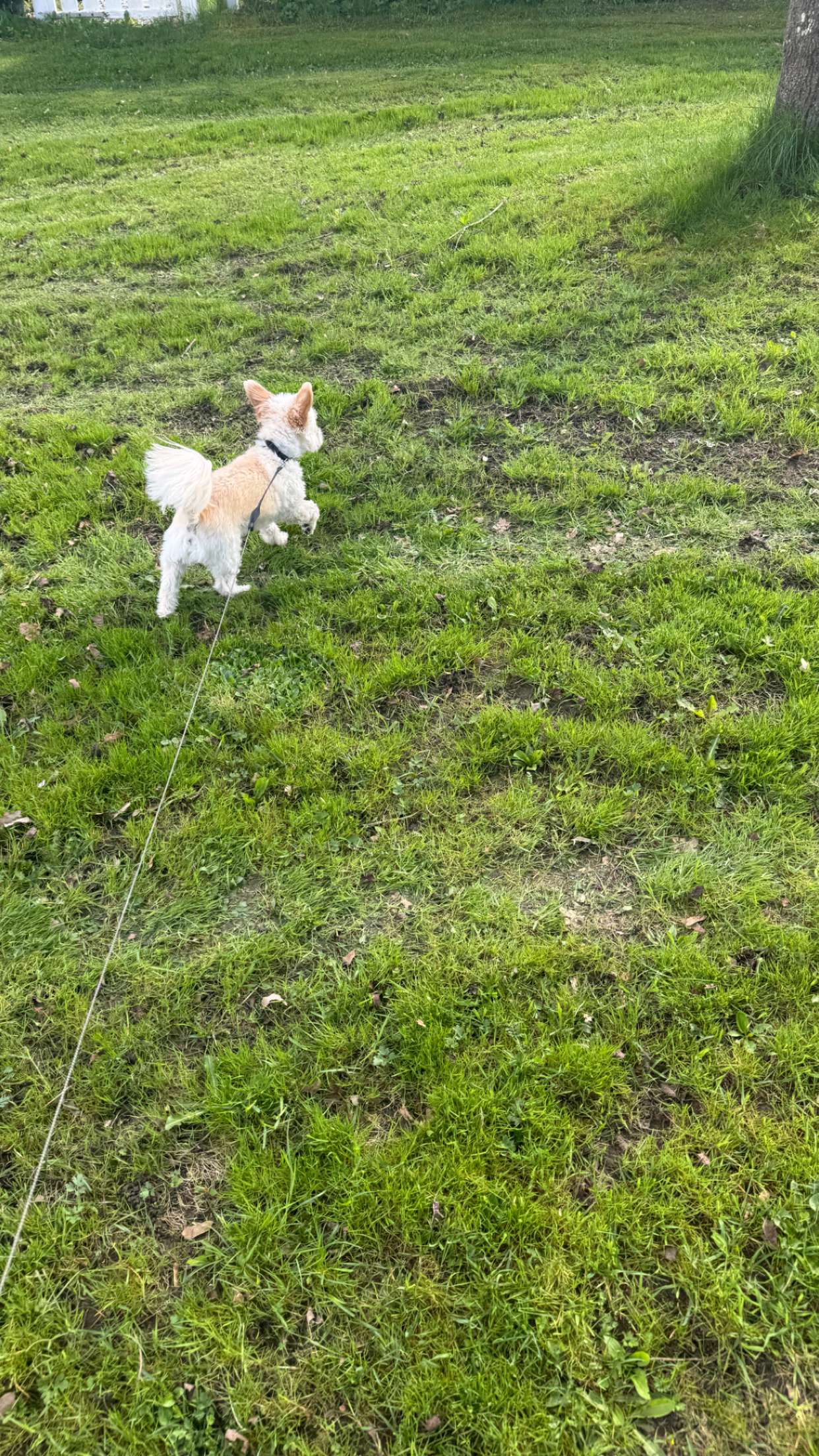 mathilda_bergs snapchat image archive image