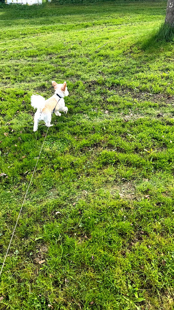 mathilda_bergs image ~ Altpins