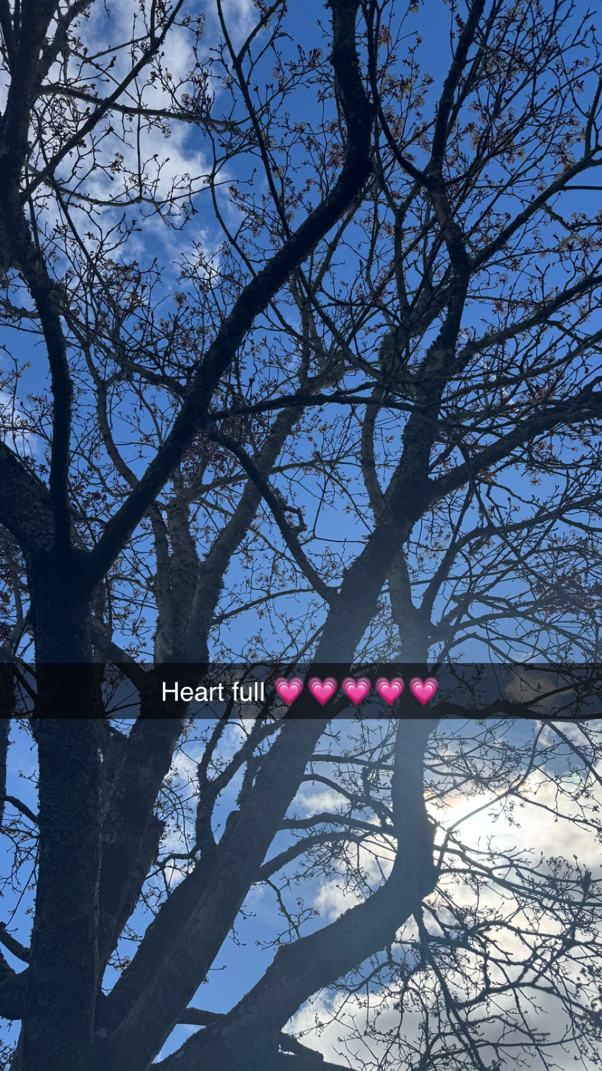 mathilda_bergs snapchat image archive image