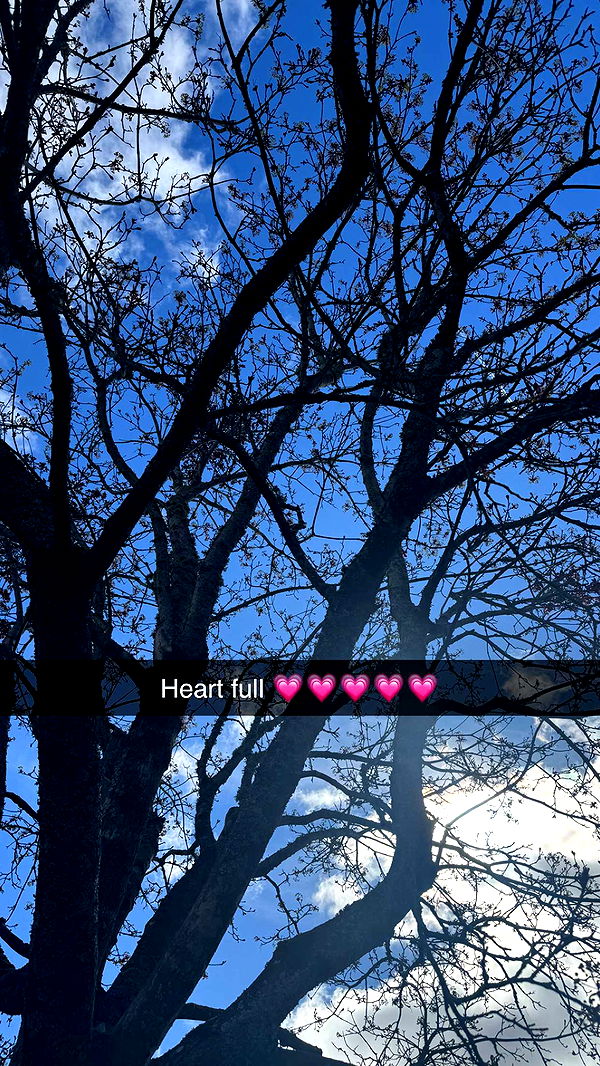 mathilda_bergs image ~ Altpins