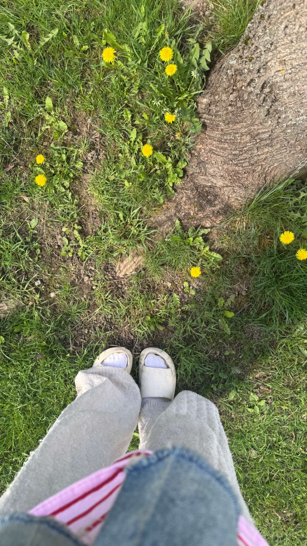 mathilda_bergs snapchat image archive image