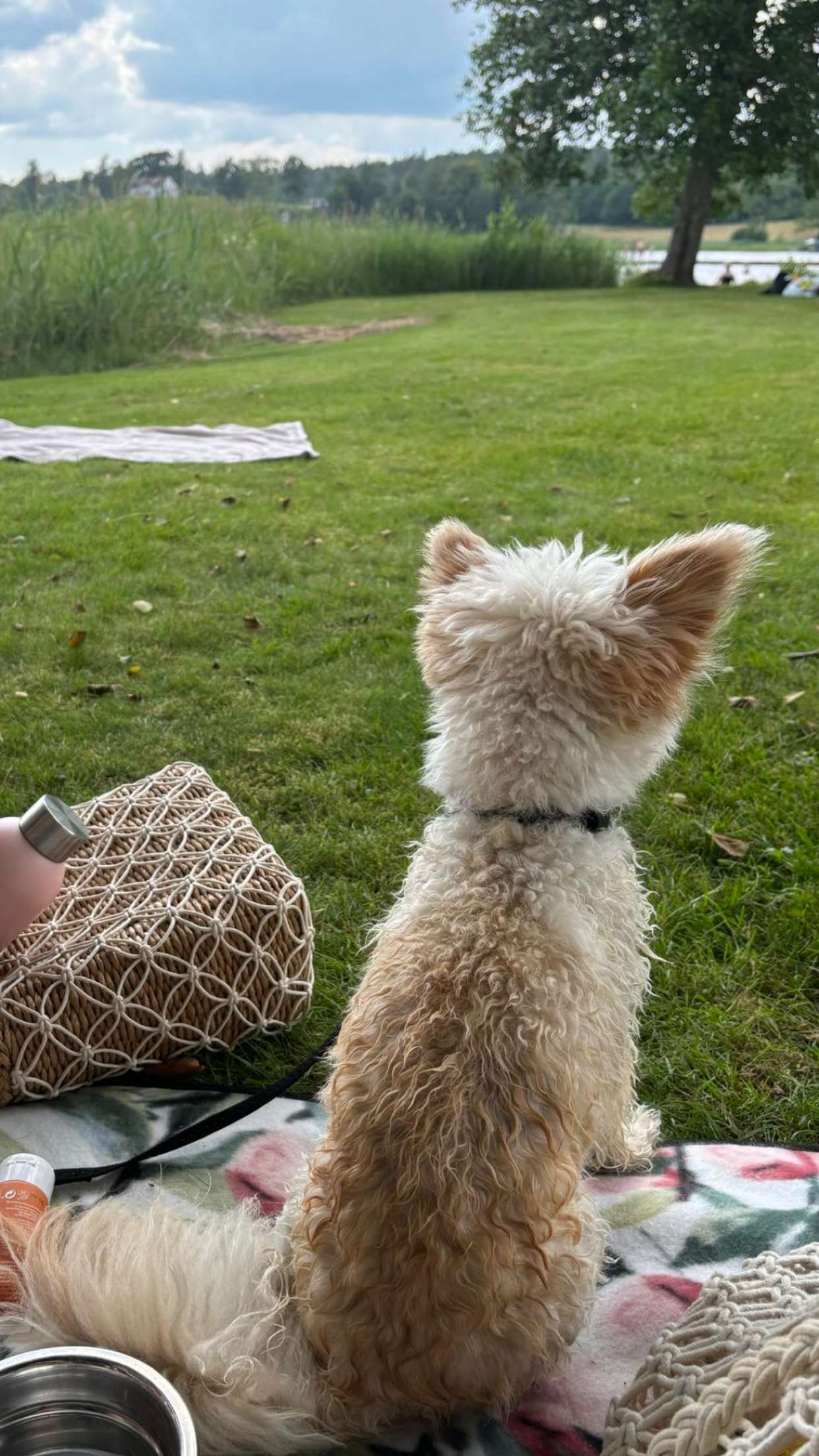 mathilda_bergs snapchat image archive image