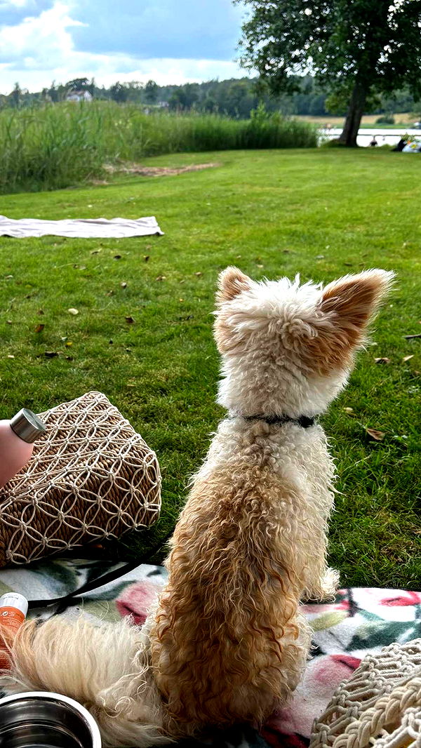 mathilda_bergs image ~ Altpins