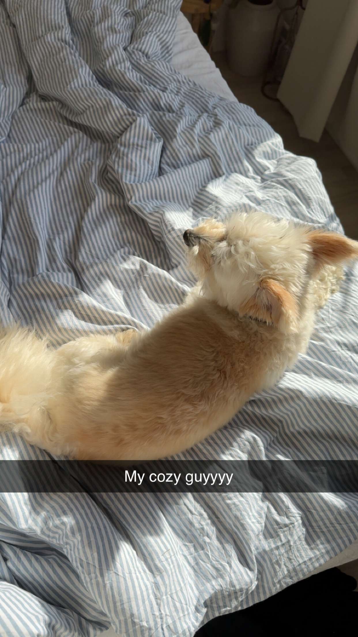 mathilda_bergs snapchat image archive image