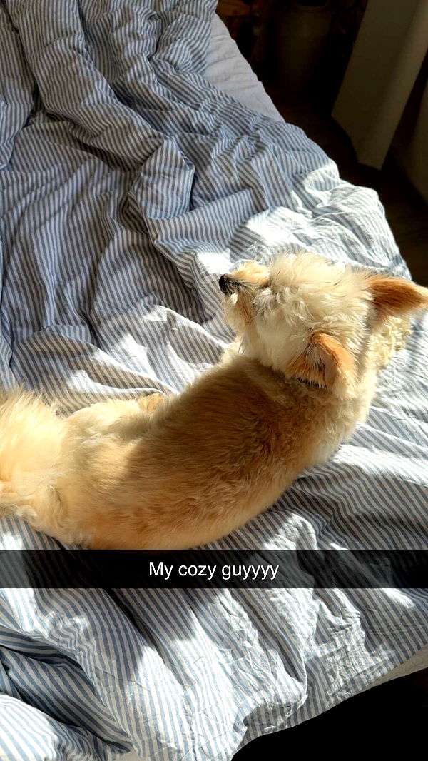 mathilda_bergs image ~ Altpins