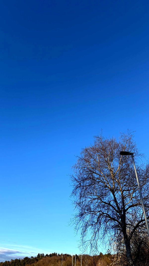 mathilda_bergs image ~ Altpins