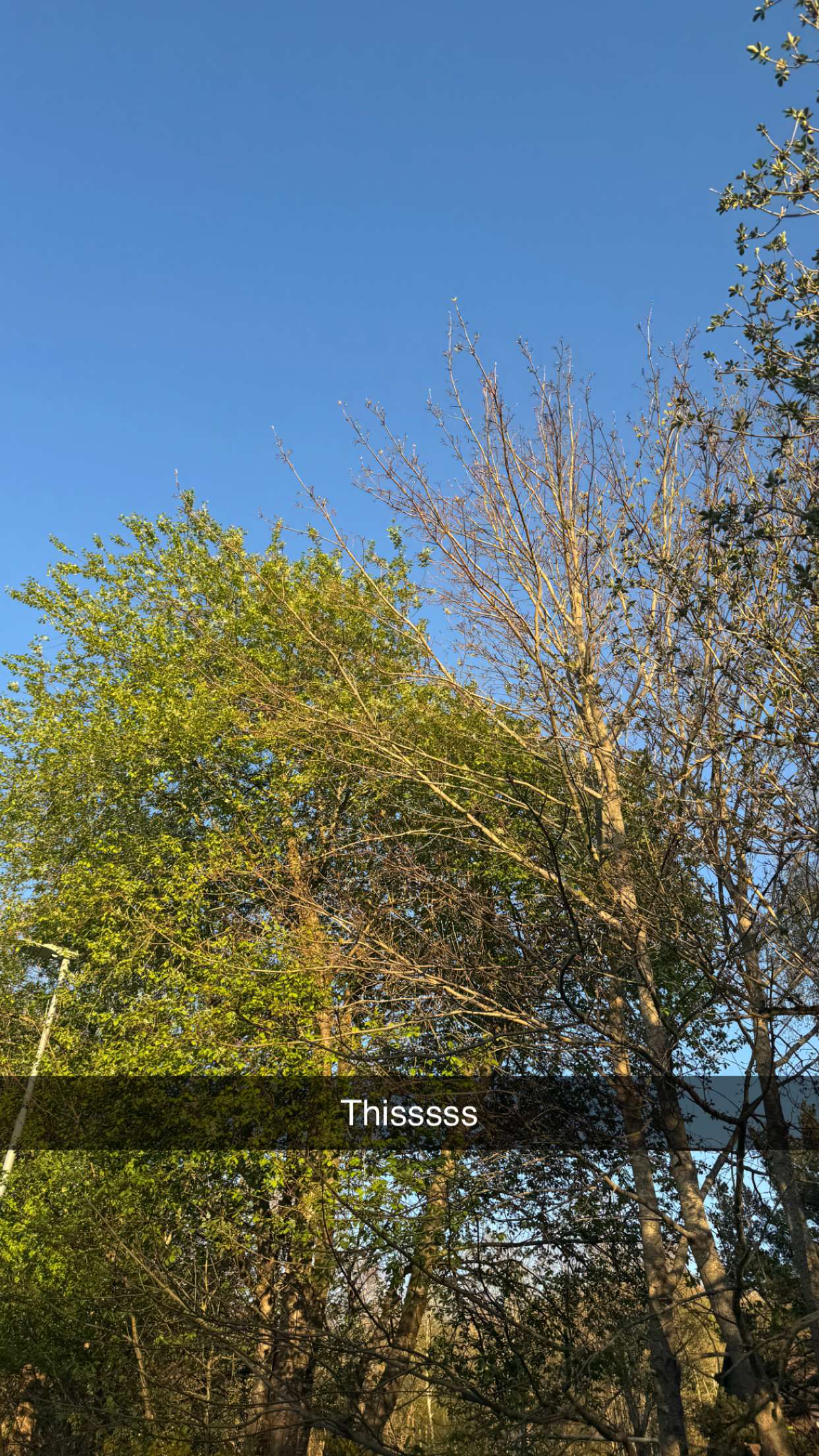 mathilda_bergs snapchat image archive image