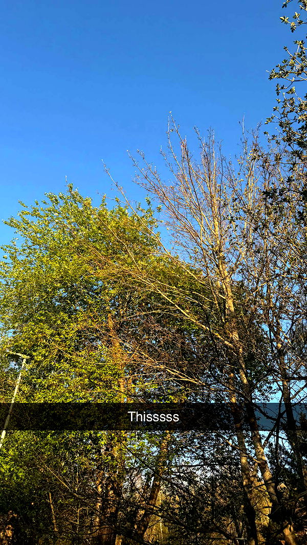 mathilda_bergs image ~ Altpins