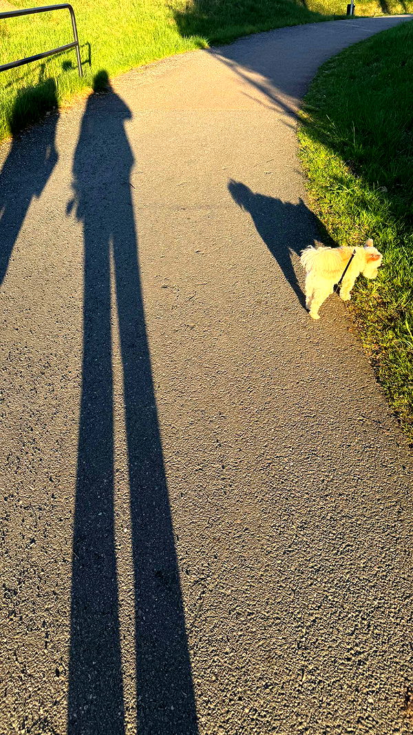 mathilda_bergs image ~ Altpins