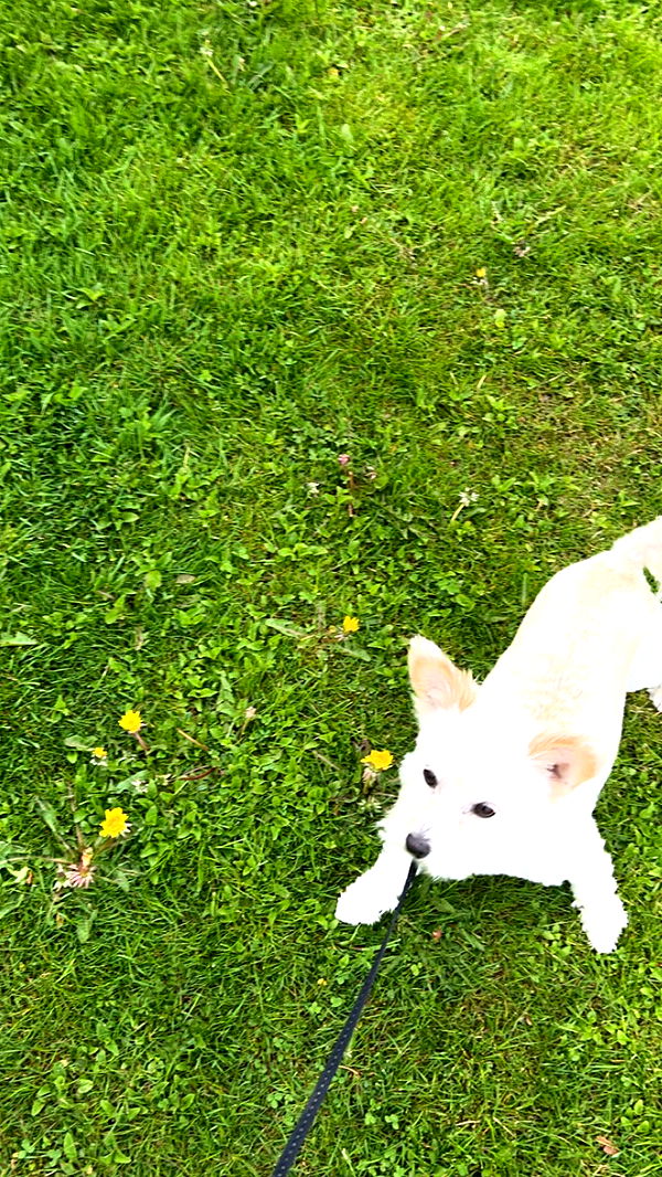 mathilda_bergs image ~ Altpins