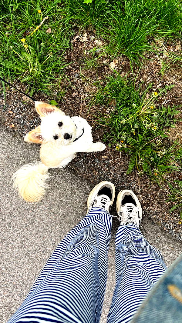 mathilda_bergs image ~ Altpins