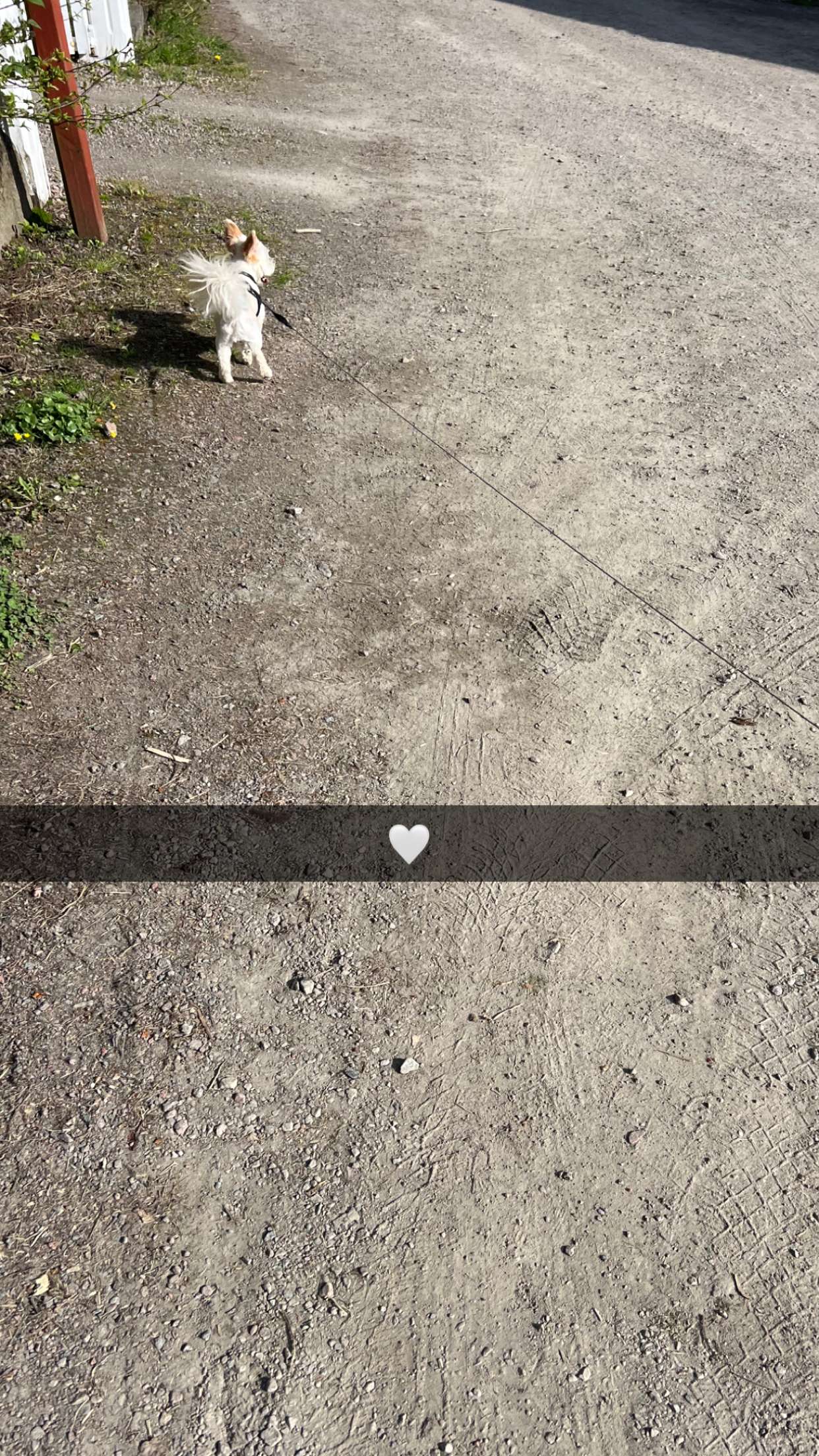 mathilda_bergs snapchat image archive image