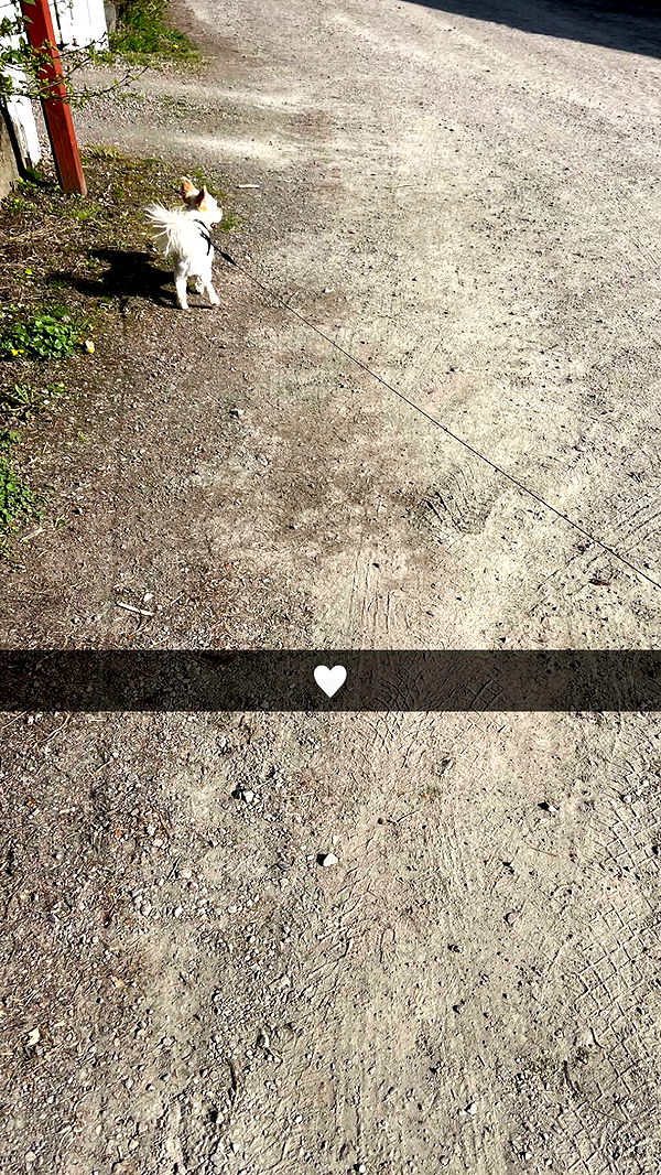 mathilda_bergs image ~ Altpins