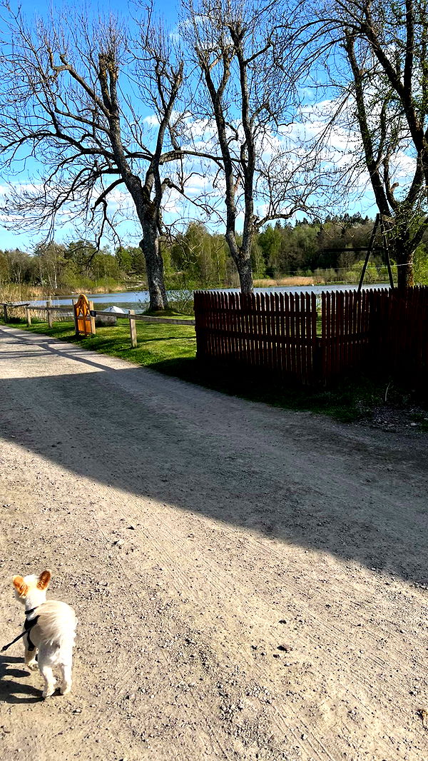 mathilda_bergs image ~ Altpins