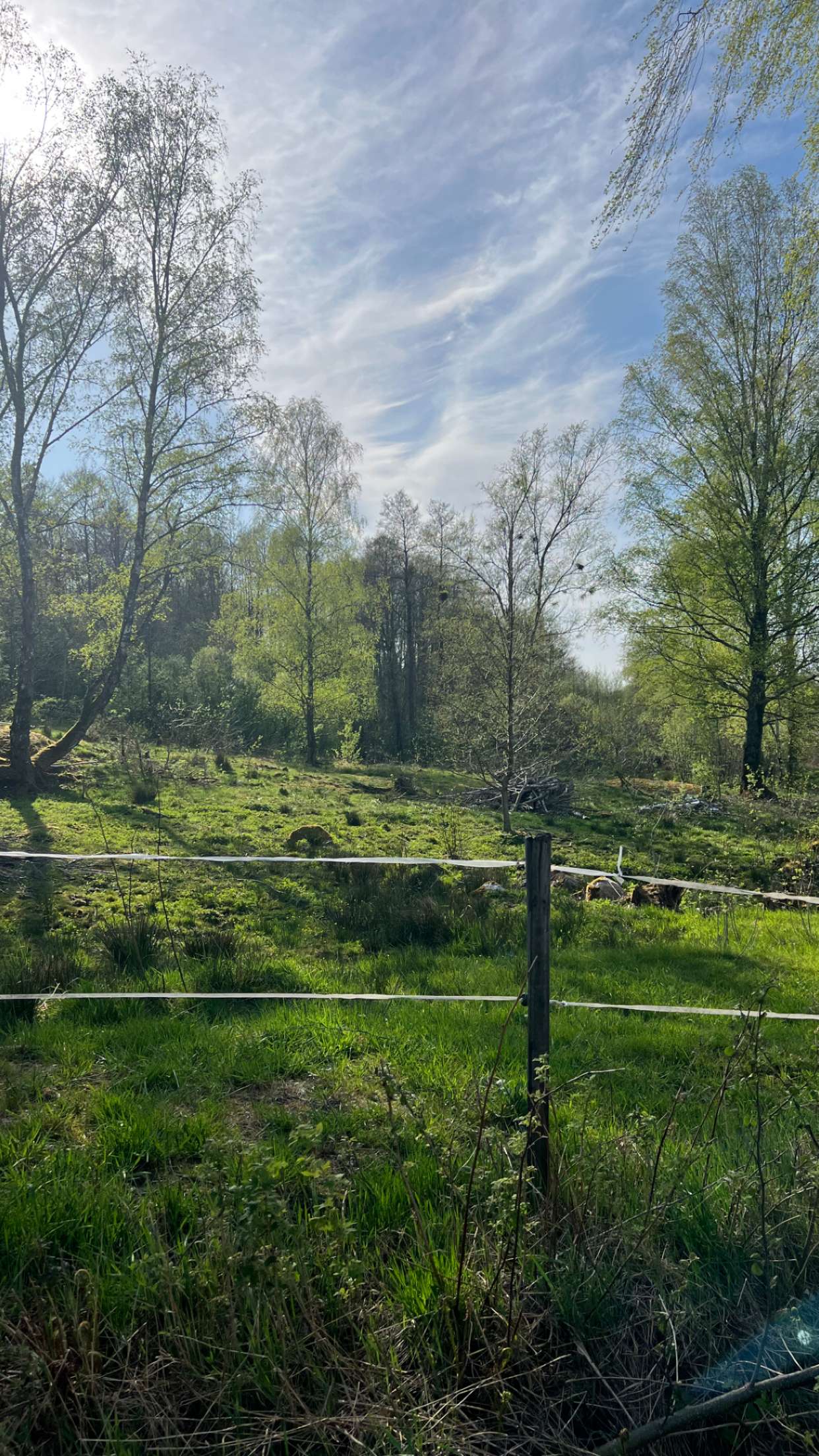 mathilda_bergs snapchat image archive image