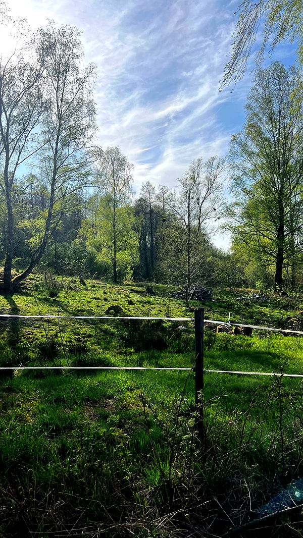 mathilda_bergs image ~ Altpins