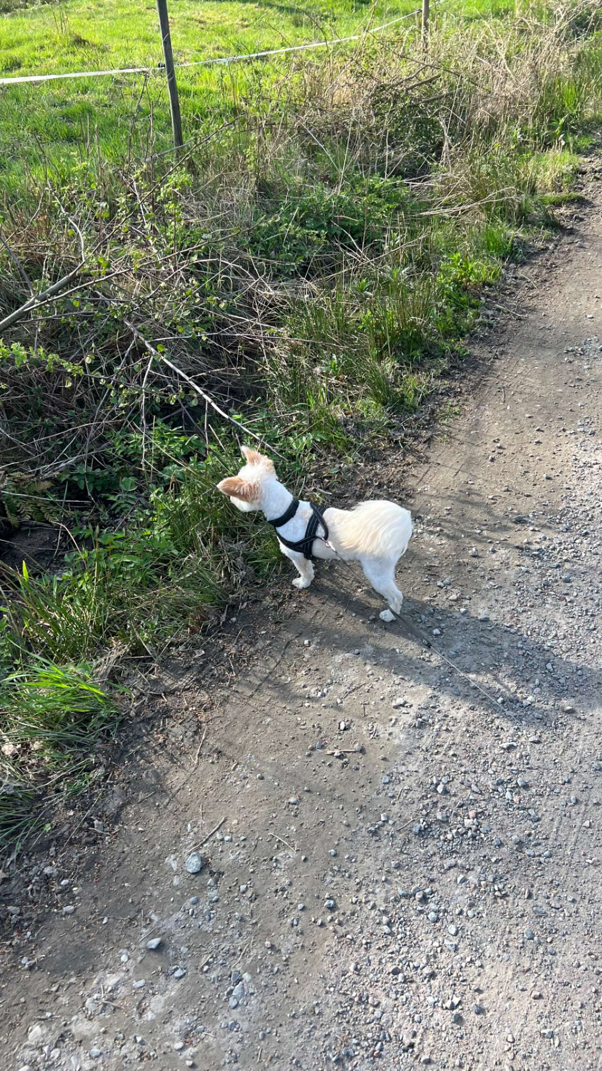 mathilda_bergs snapchat image archive image