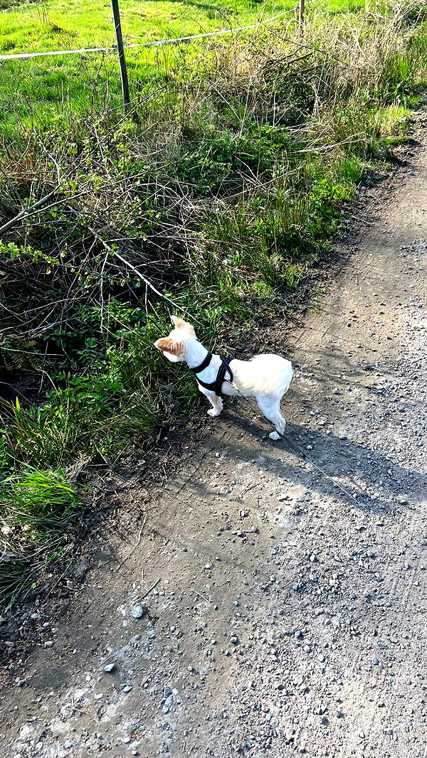 mathilda_bergs image ~ Altpins