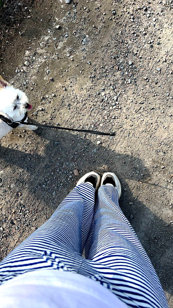 mathilda_bergs image ~ Altpins