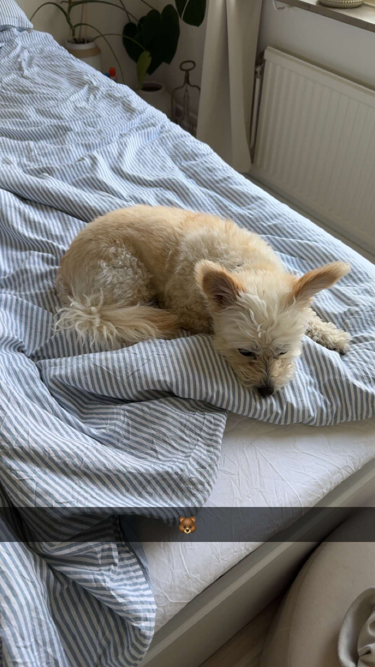 mathilda_bergs snapchat image archive image