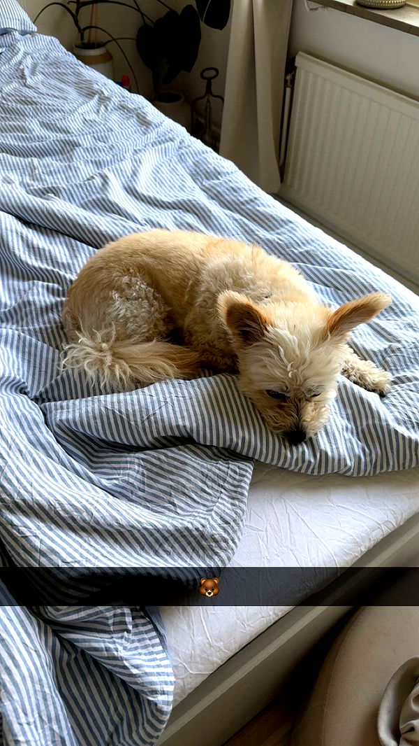 mathilda_bergs image ~ Altpins