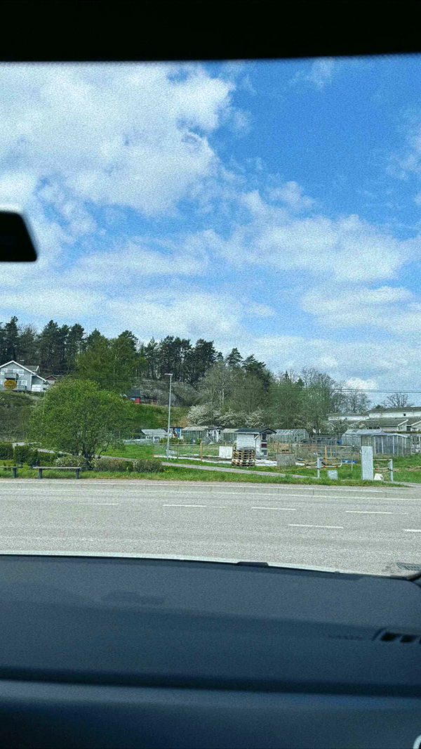 mathilda_bergs image ~ Altpins