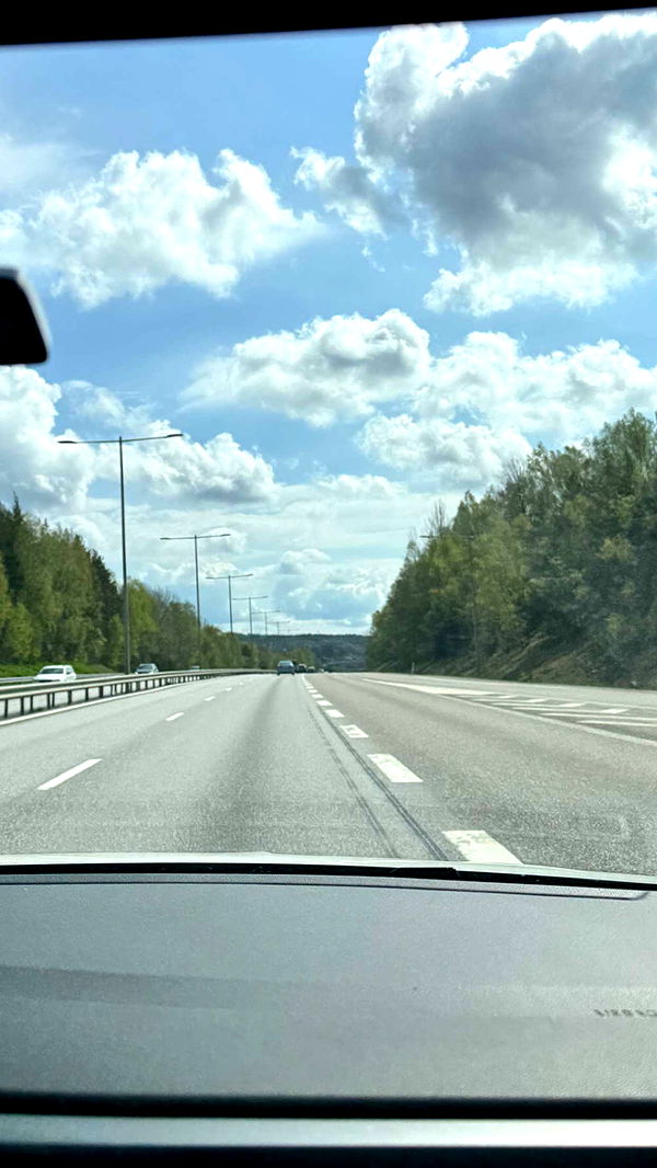 mathilda_bergs image ~ Altpins