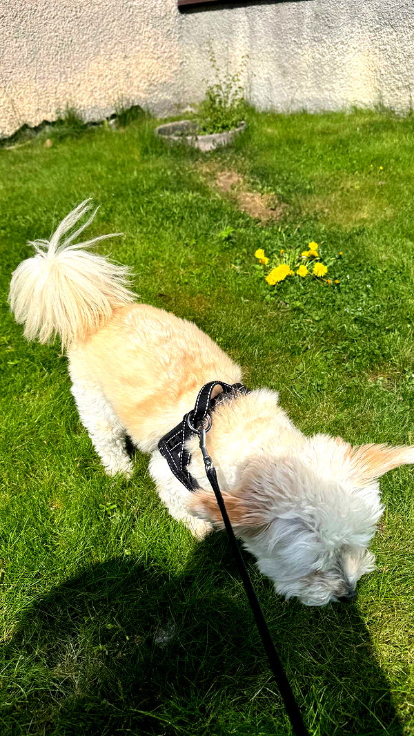 mathilda_bergs image ~ Altpins