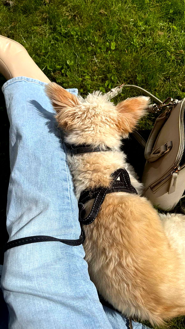 mathilda_bergs image ~ Altpins