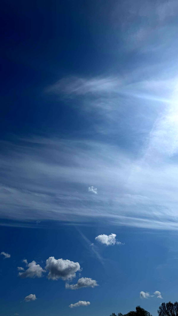 mathilda_bergs image ~ Altpins