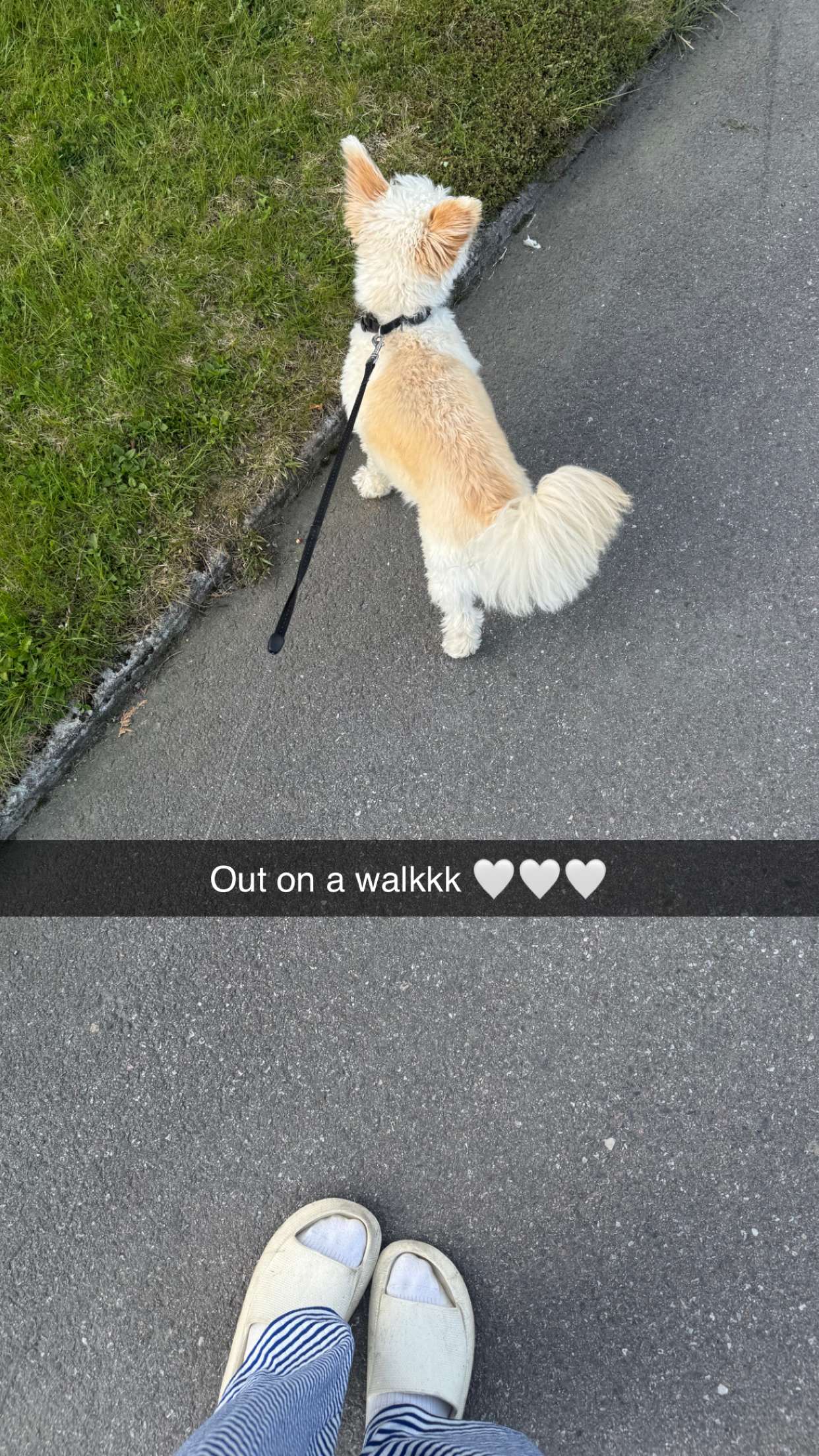 mathilda_bergs snapchat image archive image