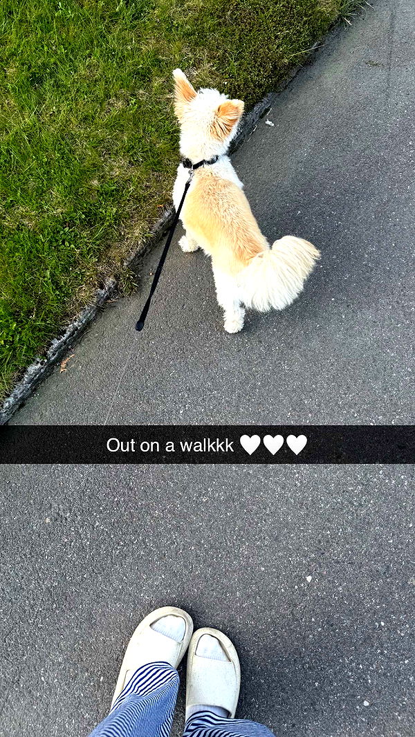 mathilda_bergs image ~ Altpins