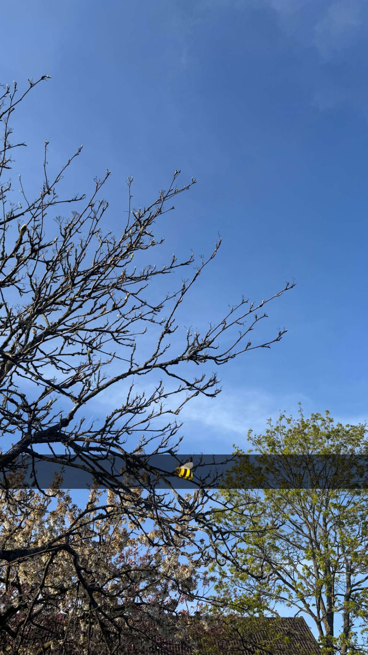 mathilda_bergs snapchat image archive image