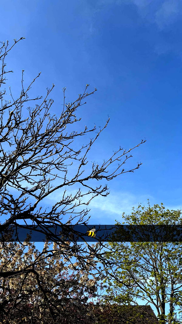 mathilda_bergs image ~ Altpins