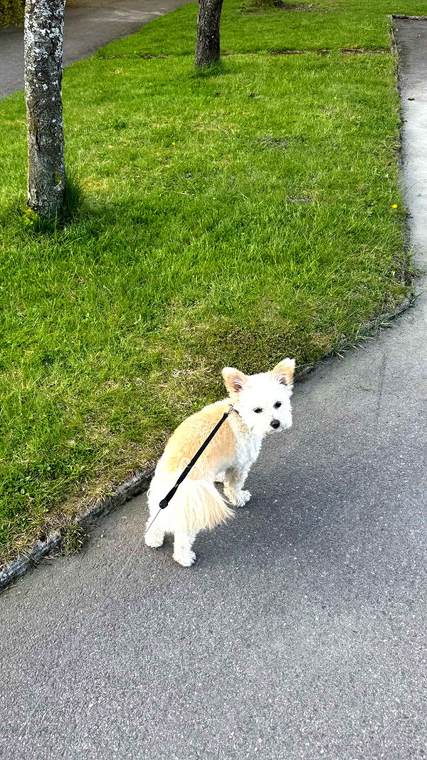 mathilda_bergs image ~ Altpins