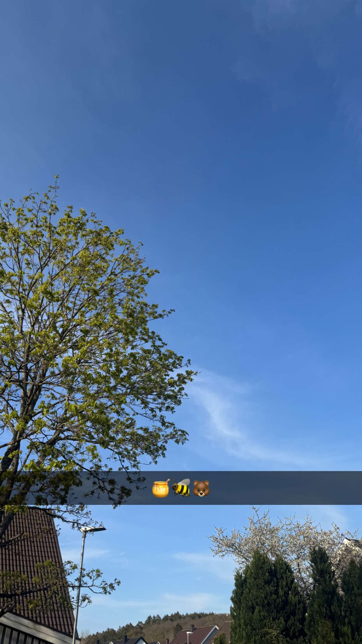 mathilda_bergs snapchat image archive image