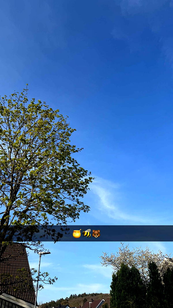 mathilda_bergs image ~ Altpins