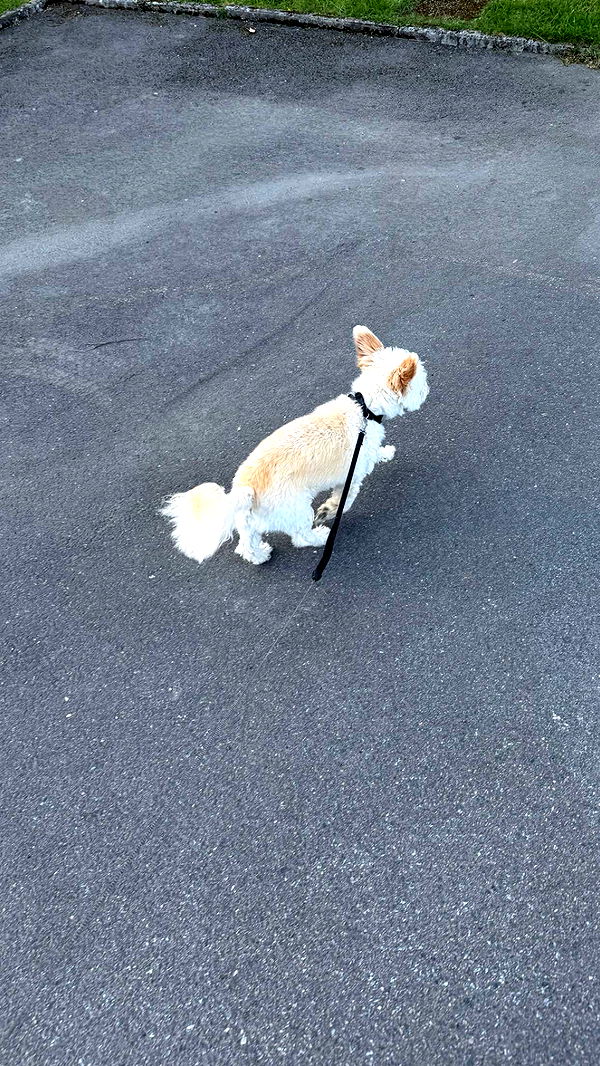 mathilda_bergs image ~ Altpins