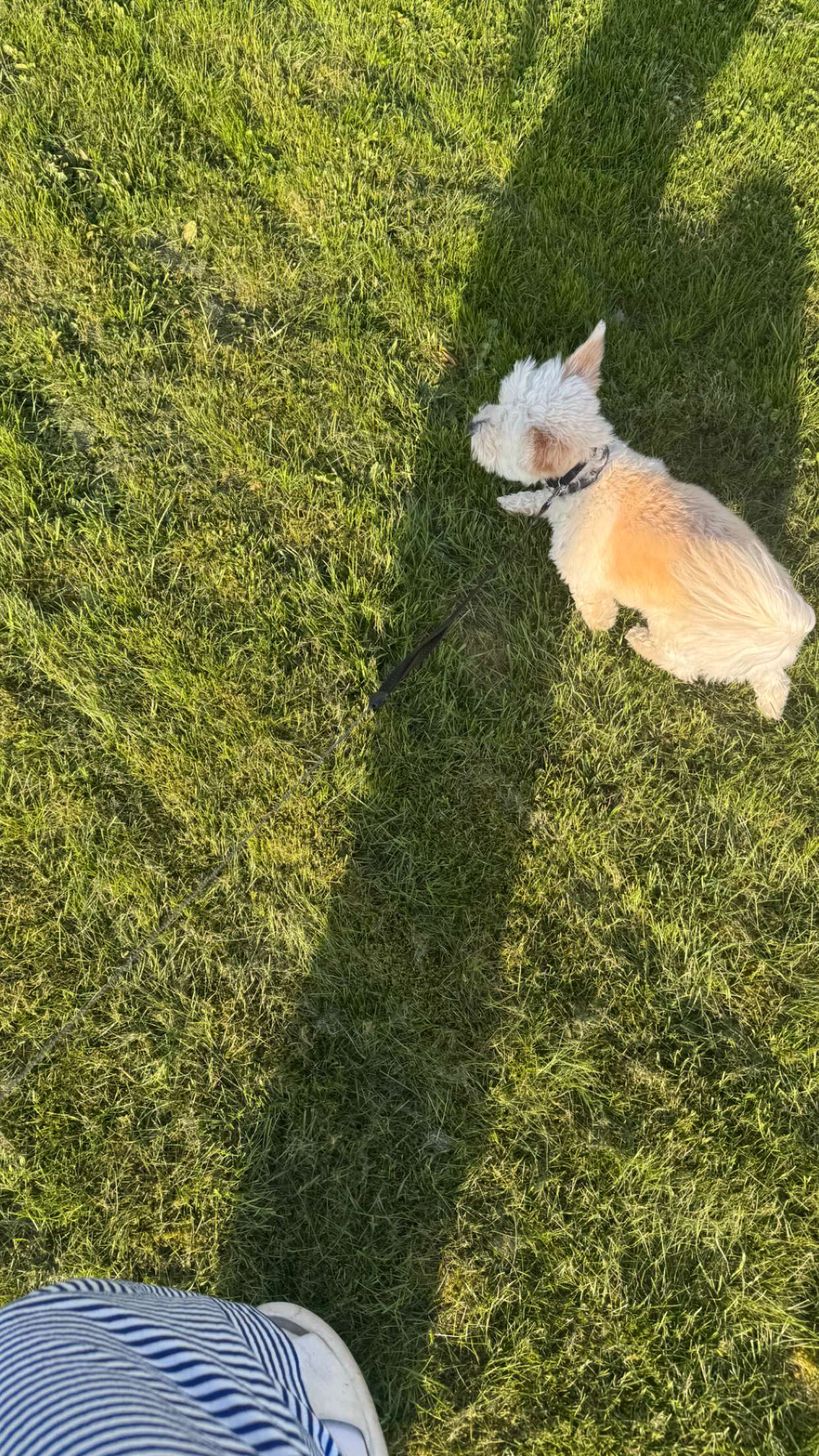 mathilda_bergs snapchat image archive image