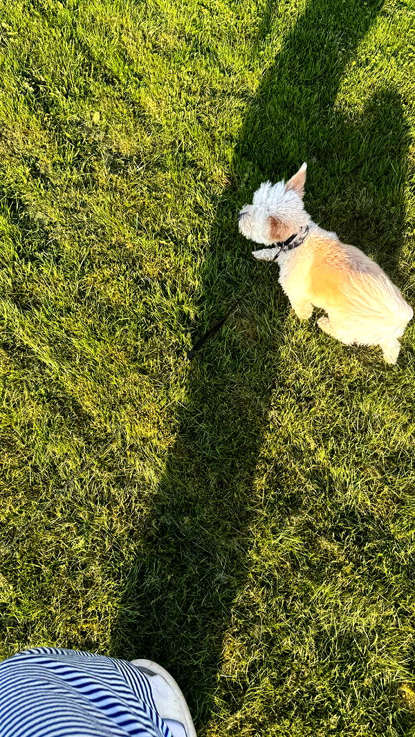 mathilda_bergs image ~ Altpins