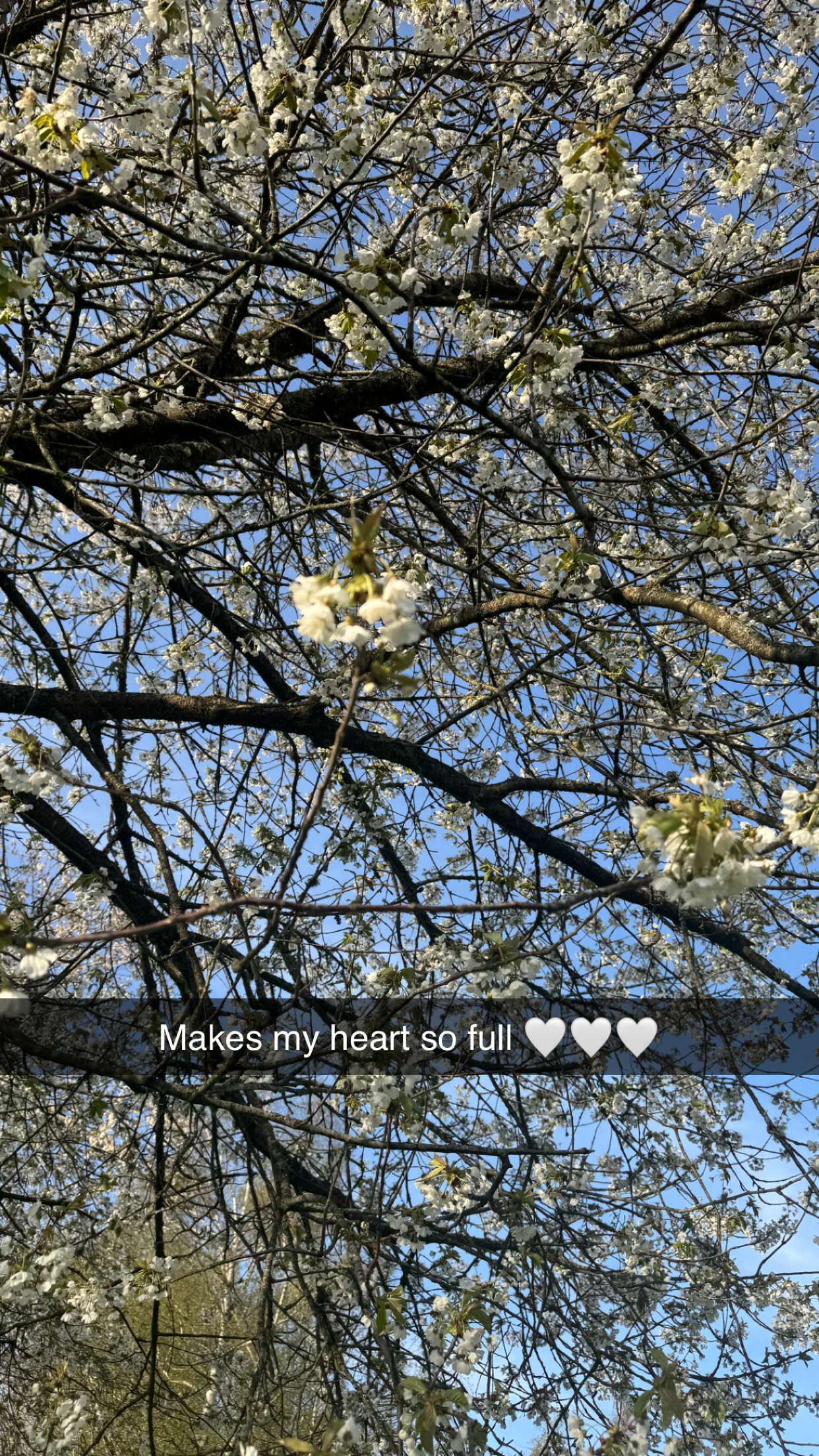 mathilda_bergs snapchat image archive image