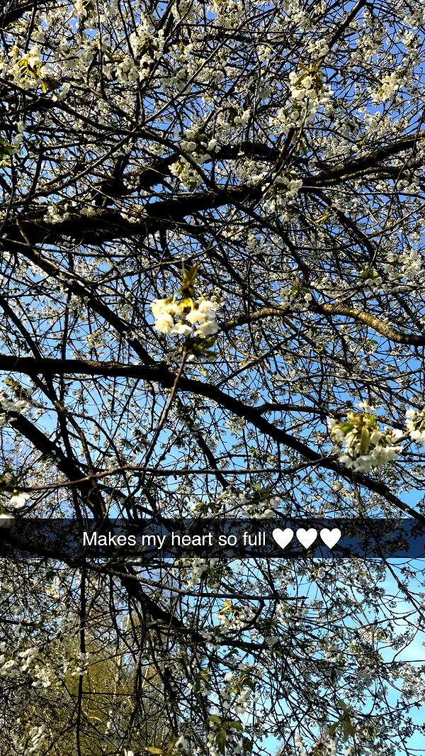 mathilda_bergs image ~ Altpins