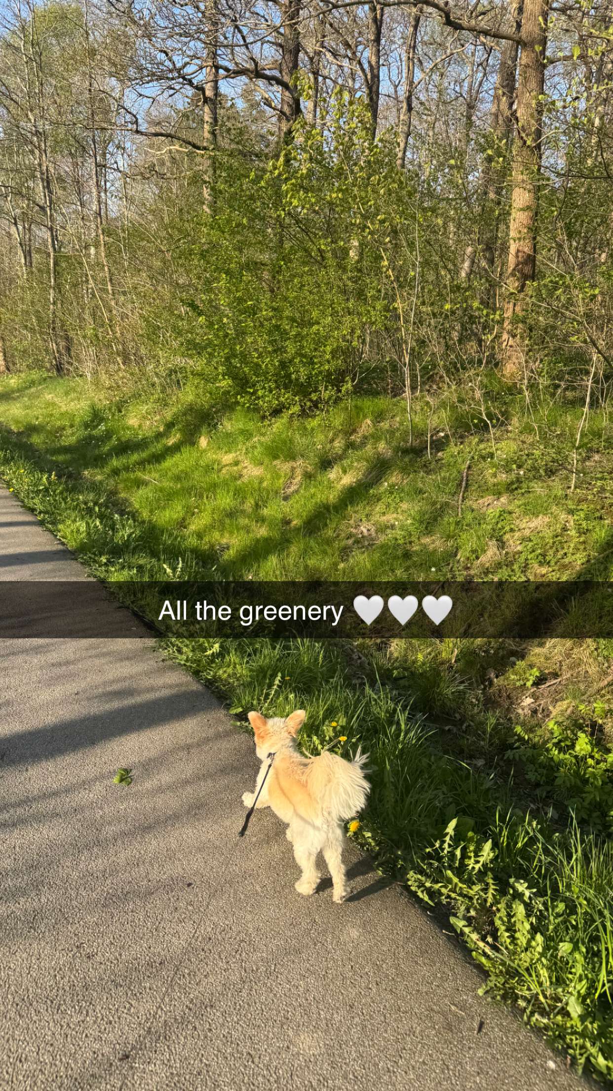 mathilda_bergs snapchat image archive image