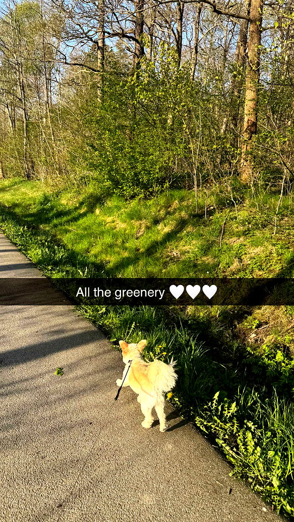 mathilda_bergs image ~ Altpins