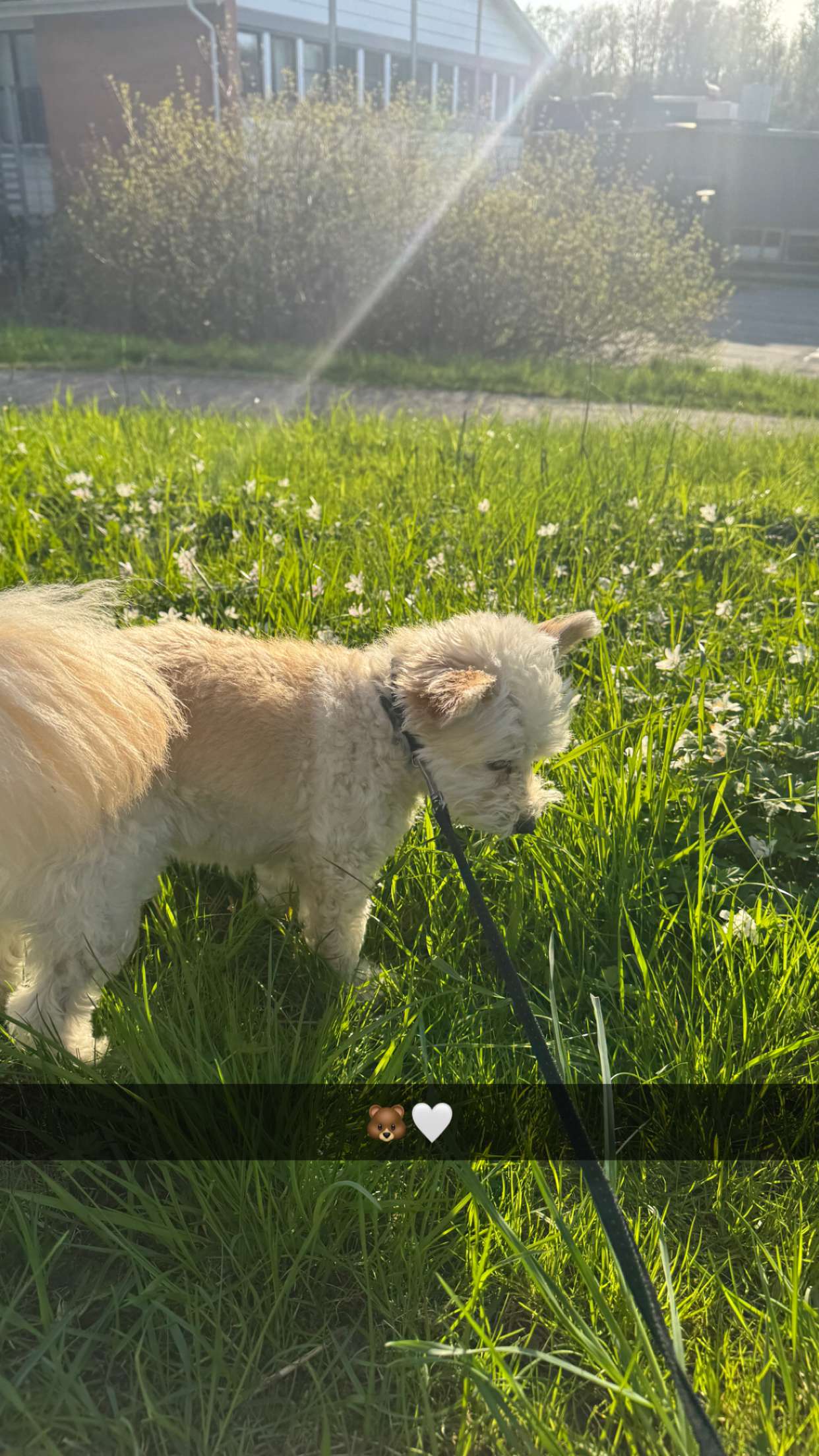 mathilda_bergs snapchat image archive image